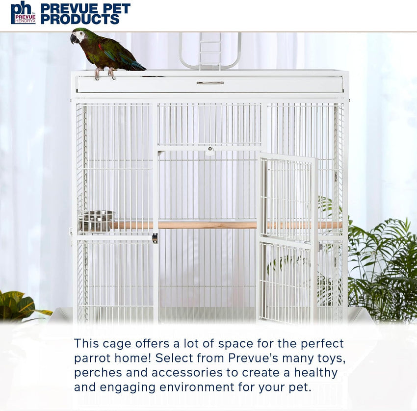 Pet Products Wrought Iron Select Bird Cage 3154C. Chalk White. 36-Inch by 24-Inch by 66-Inch