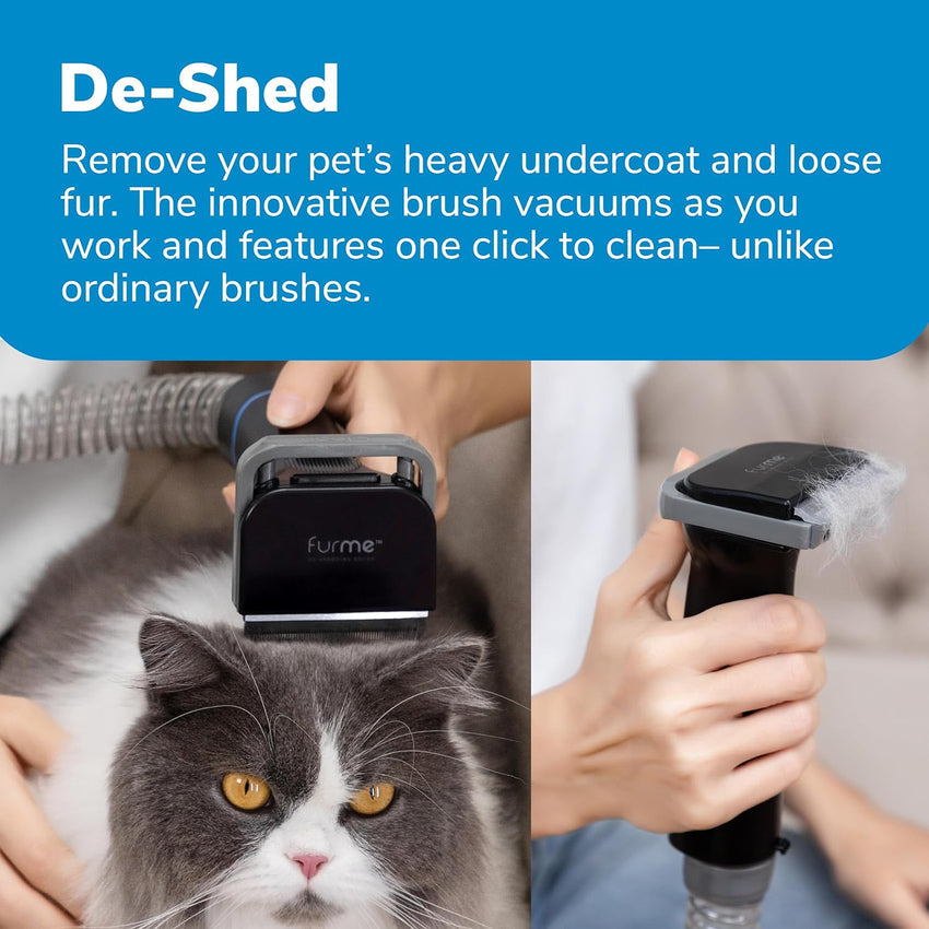 Professional Plus Pet Grooming Vacuum Kit. 5 Pet Grooming Tools. 2L Canister. Works for All Dogs. Cats. and Pet Fur